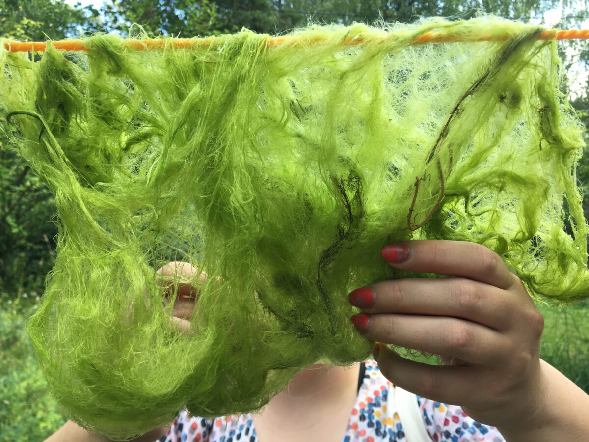 Algae workshop on Vartiosaari island, Aug 2025. Photo by Taru Elfving.