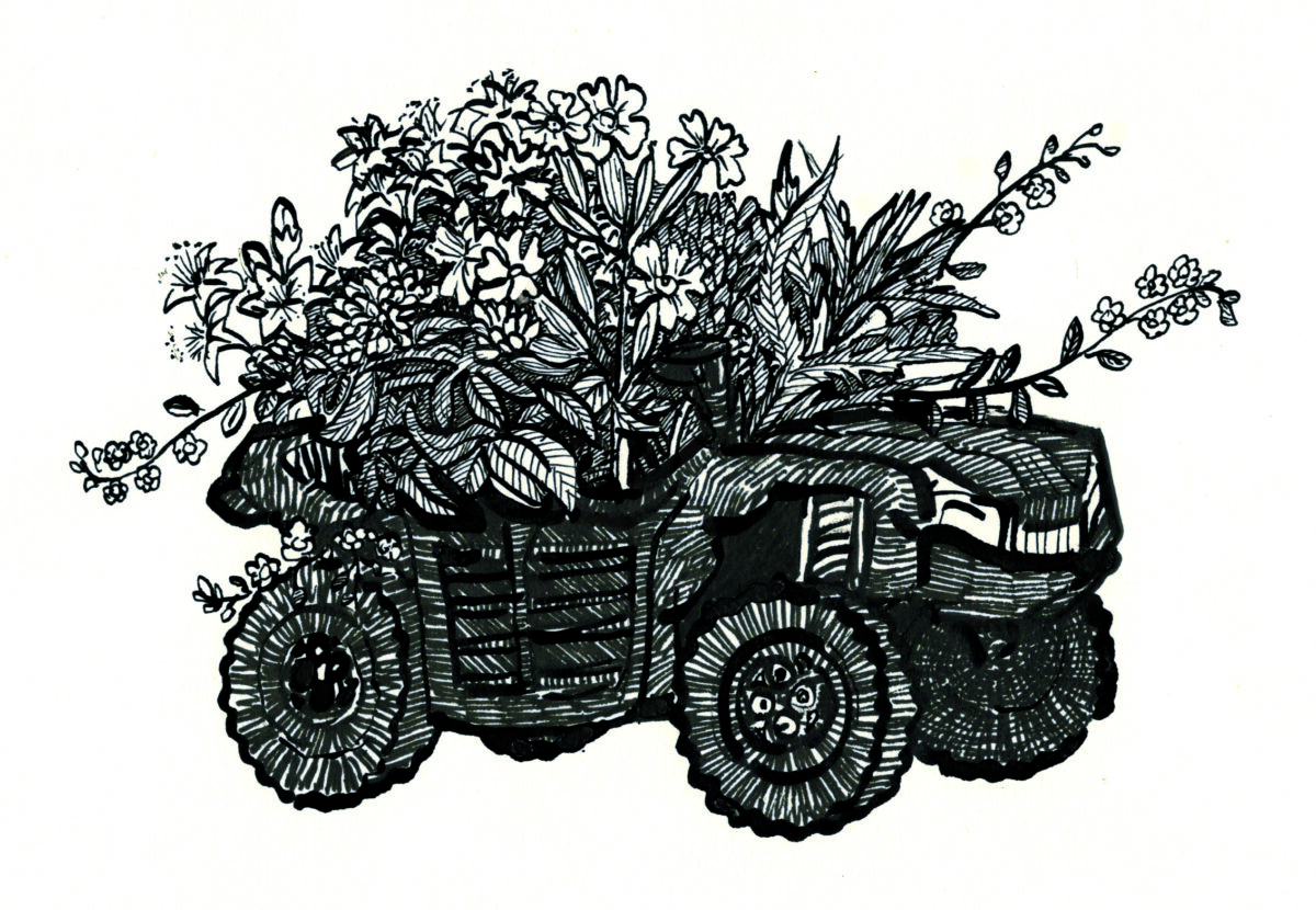 Meadow plants from the monitoring plot 3 on a quad bike.